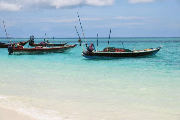 Bateaux de pêche. Zanzibar, Tanzanie