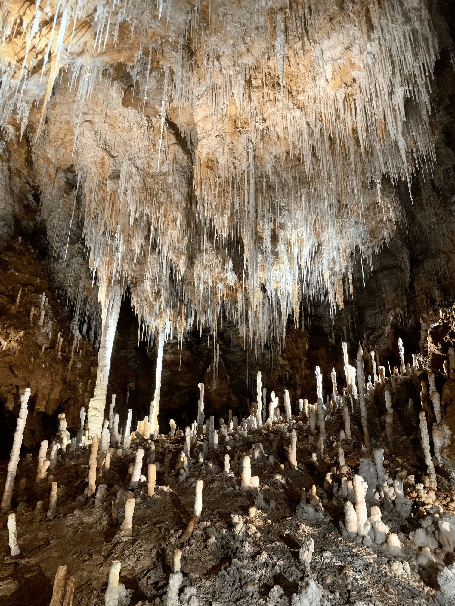 Grotte de Clamouse en Occitanie