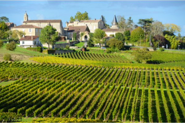 Vignobles Bordeaux Saint-Emilion en Gironde, Nouvelle-Aquitaine