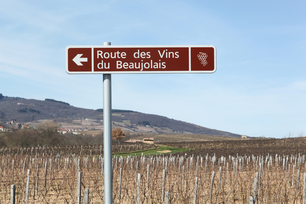 Route des vins du Beaujolais en Auvergne-Rhône-Alpes