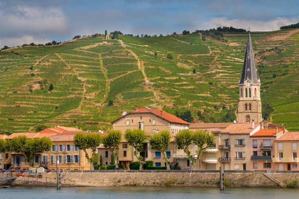 Vignobles en Drôme en Auvergne-Rhône-Alpes