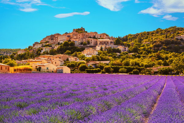 Simiane la Rotonde village et lavandes en Provence