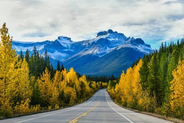 Icefield Parkway en automne au Parc national Jaspe au Canada