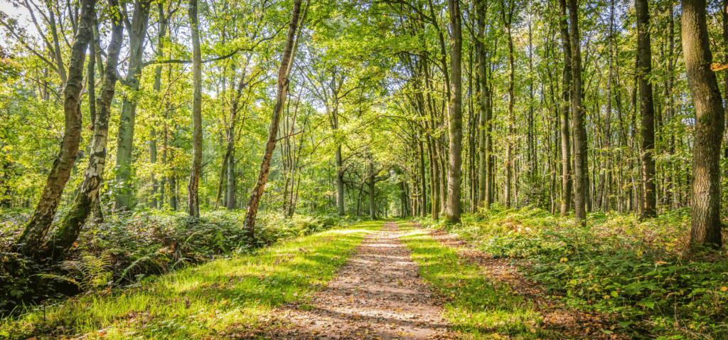 Domaine de Naxhelet week-end nature belge cover