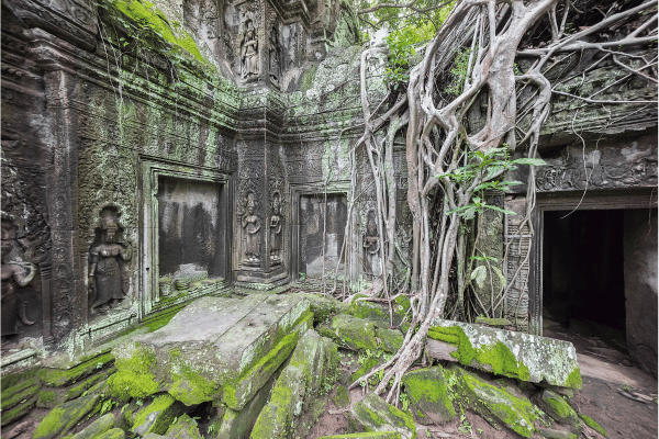 Cambodge - Temple d'Angkor Wat en pleine jungle