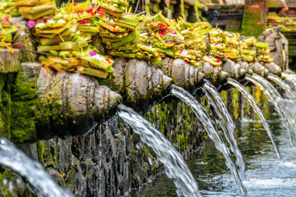 Purification de l'eau au temple de Tirta Empul à Bali
