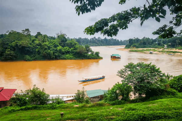 Malaisie - Taman Negara rivière et jungle