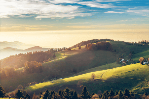 Paysage pittoresque de la montagne d'automne de la Forêt-Noire, Allemagne