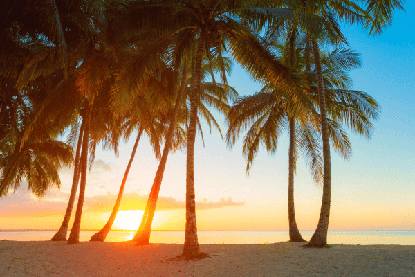 Organisatrice voyage Cuba - plages paradisiaques de sable blanc sur fond de bleu caribéen