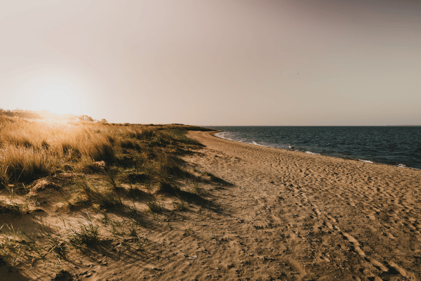 Amrum au Parc National de la Mer des Wadden, Danemark