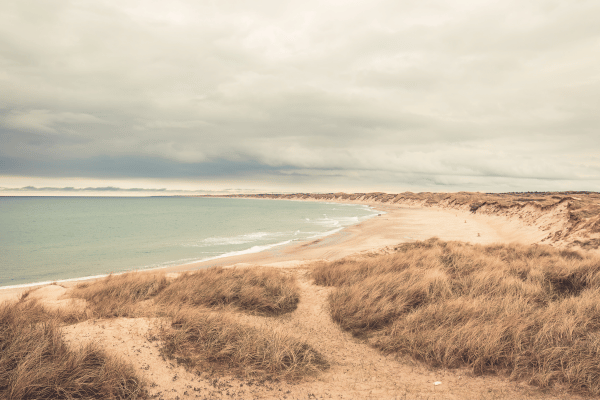 Parc National de Thy au Danemark