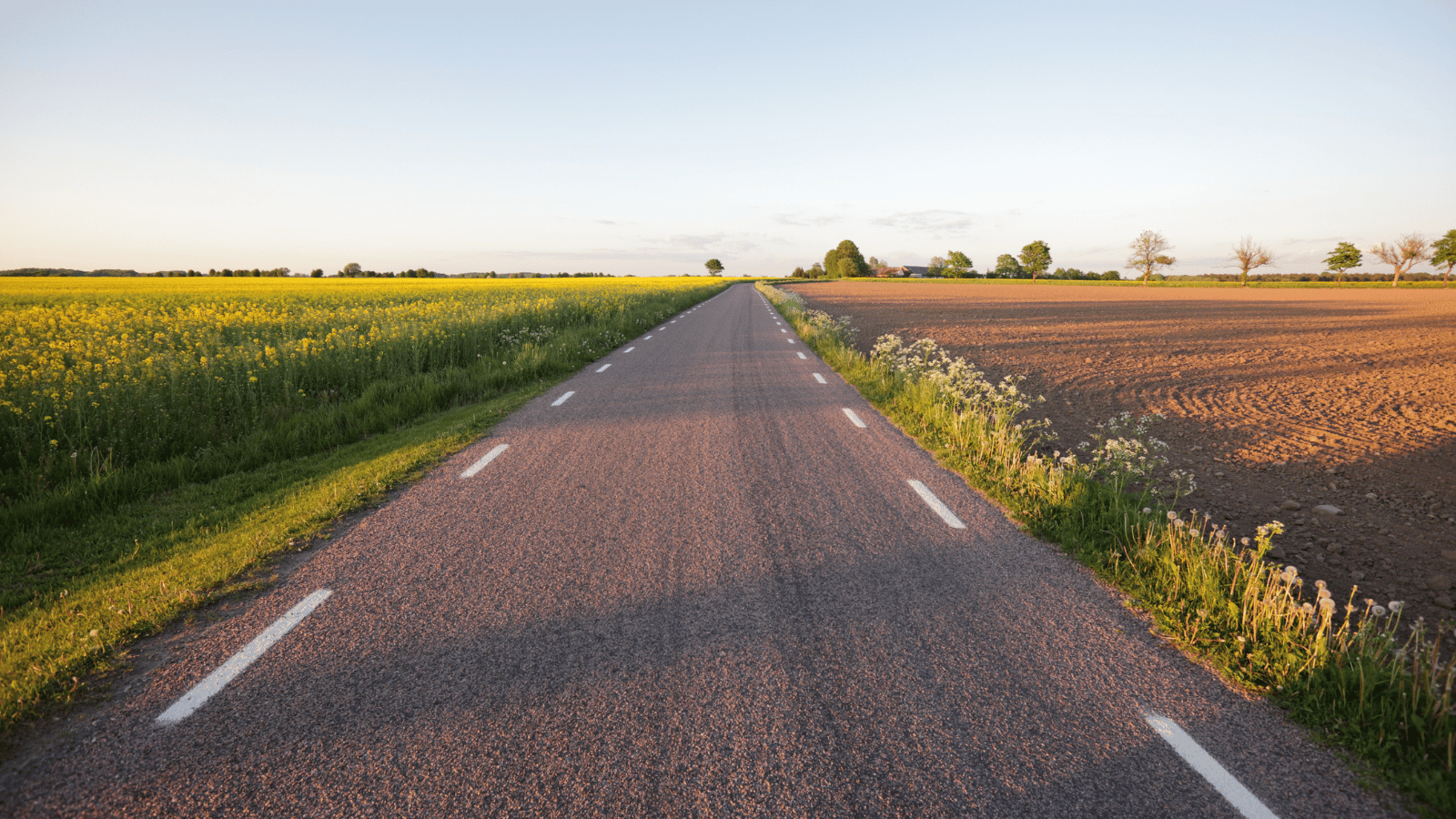 Road Trip Suède - cover