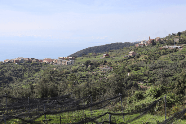 Vue impregnable sur Montaretto et Regimonti depuis le vignoble Cà du Ferrà
