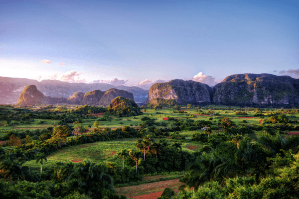 que-faire-à-cuba-biodiversité-Viñales que-faire-à-cuba-biodiversité-Viñales