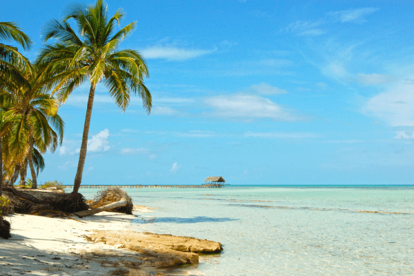 que-faire-à-cuba-plage-paradisiaque-Cayo-Coco que-faire-à-cuba-plage-paradisiaque-Cayo-Coco