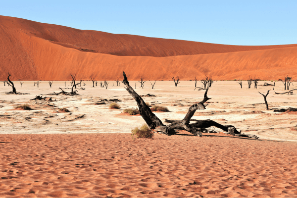voyager-en-namibie-Deadvlei